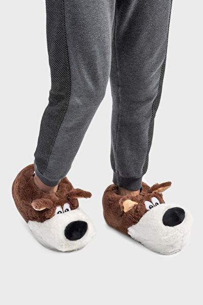  Erkek Ev Botu, Panduf