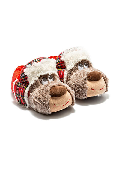 Twigy Erkek Ev Botu, Panduf