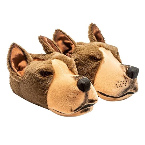 Twigy Erkek Ev Botu, Panduf