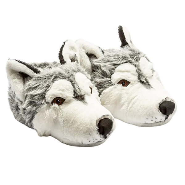 Twigy Erkek Ev Botu, Panduf