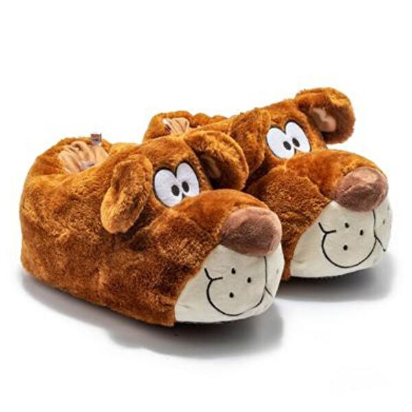 Twigy Erkek Ev Botu, Panduf