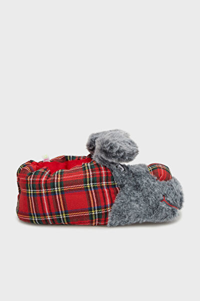 Twigy Erkek Ev Botu, Panduf