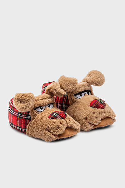 Twigy Erkek Ev Botu, Panduf