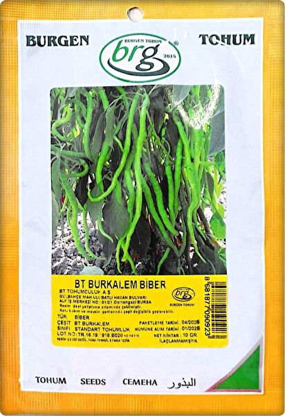 BURGEN Tohum