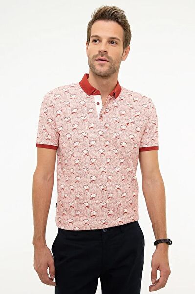 Pierre Cardin Erkek Tişört