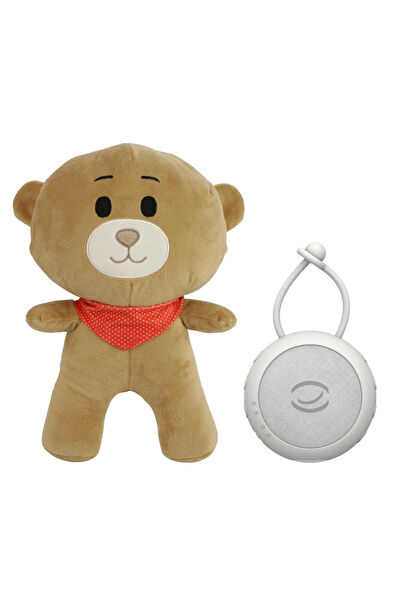 Budizzz Uyku Arkadaşı