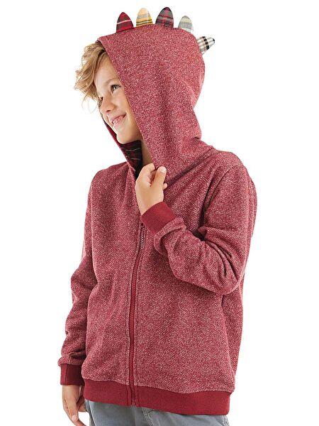 Denokids Erkek Çocuk Sweatshirt