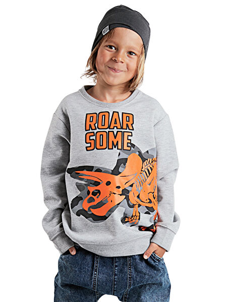 Denokids Erkek Çocuk Sweatshirt
