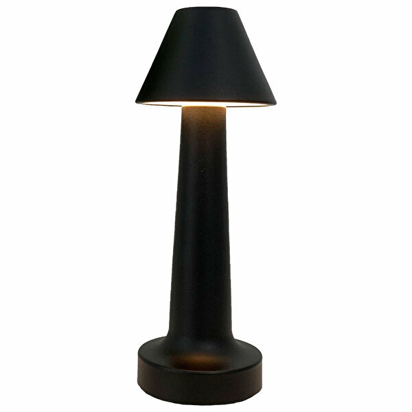 Biradlı Masa Lambası