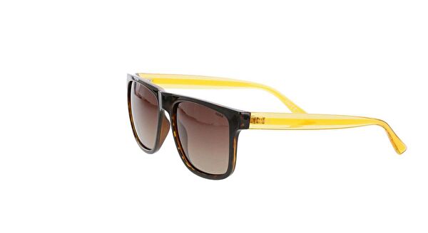 Hawk Erkek Güneş Gözlüğü