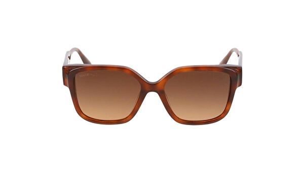 Max&Co Kadın Güneş Gözlüğü