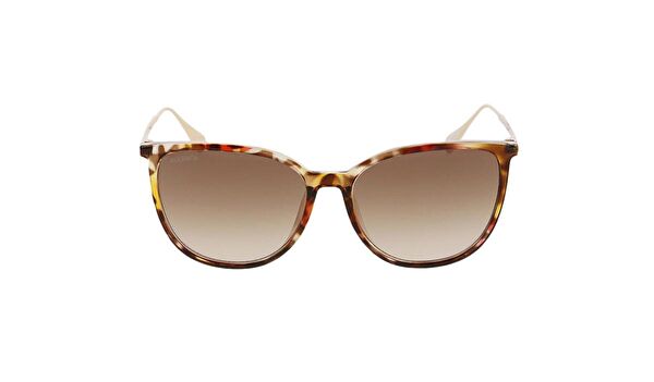 Max&Co Kadın Güneş Gözlüğü