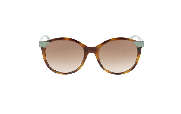 Max&Co Kadın Güneş Gözlüğü