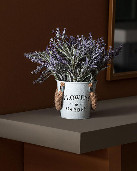 Madame Coco Vazo, Saksı