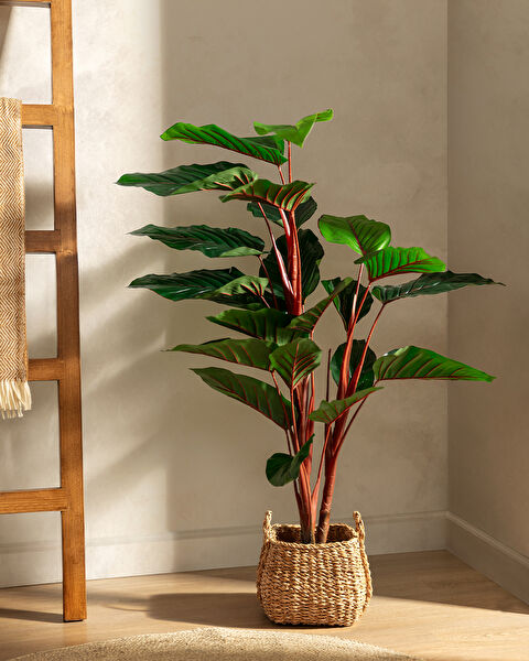 Madame Coco Yapay Çiçek, Meyve