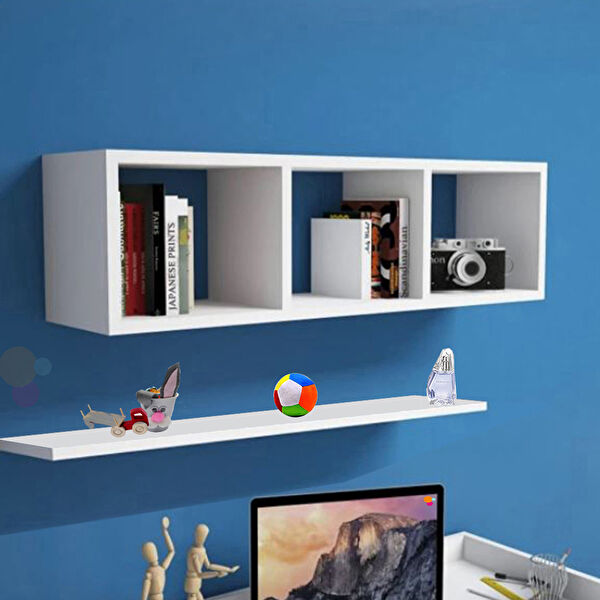 Modilayn Raf, Kitaplık