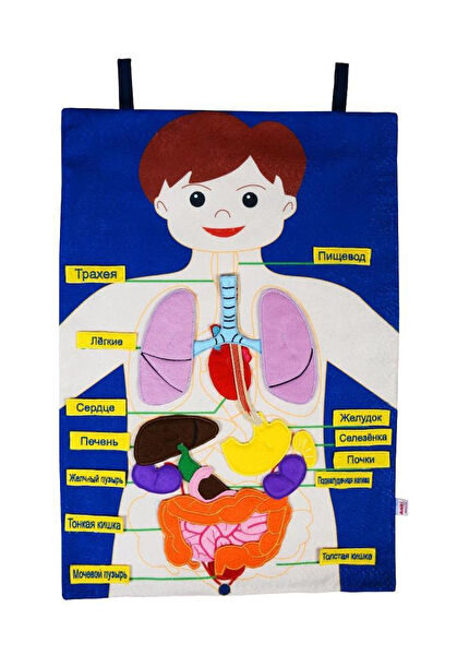 Anki Toys Eğitici Oyuncaklar