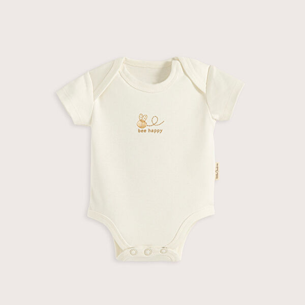 Chakra Body, Zıbın