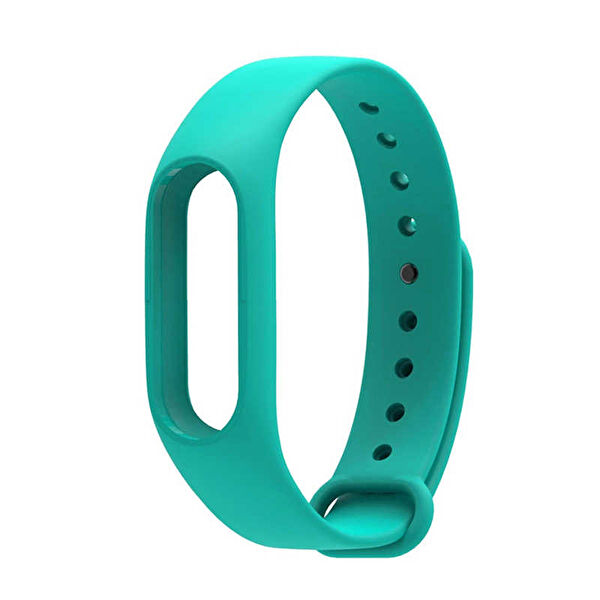 SystemCom Akıllı Saat Aksesuar