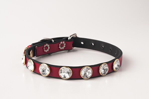 Privilege Kedi Tasmaları ve İsimlikler