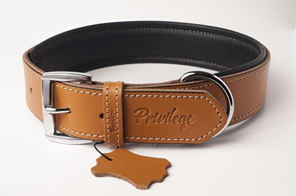 Privilege Köpek Tasmaları
