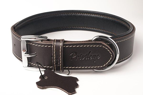 Privilege Köpek Tasmaları