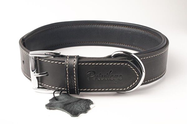 Privilege Köpek Tasmaları