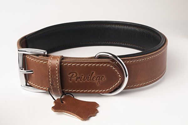 Privilege Köpek Tasmaları