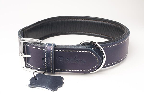 Privilege Köpek Tasmaları