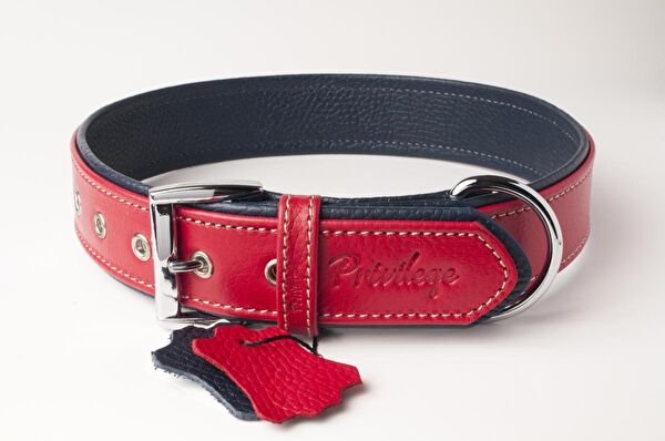 Privilege Köpek Tasmaları