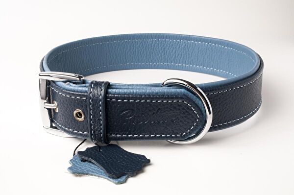 Privilege Köpek Tasmaları