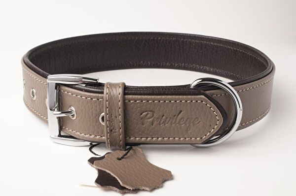 Privilege Köpek Tasmaları