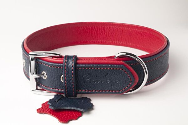 Privilege Köpek Tasmaları