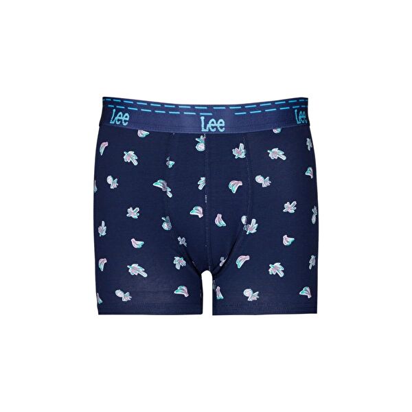 Lee Erkek Boxer, Slip, Külot