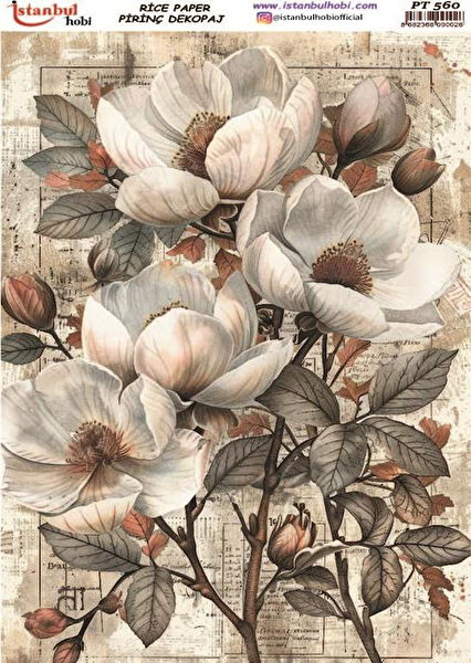 Istanbul Hobi Yardımcı Sanat Ürünleri