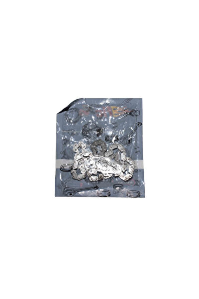 Sevgent Eksantrik Zinciri