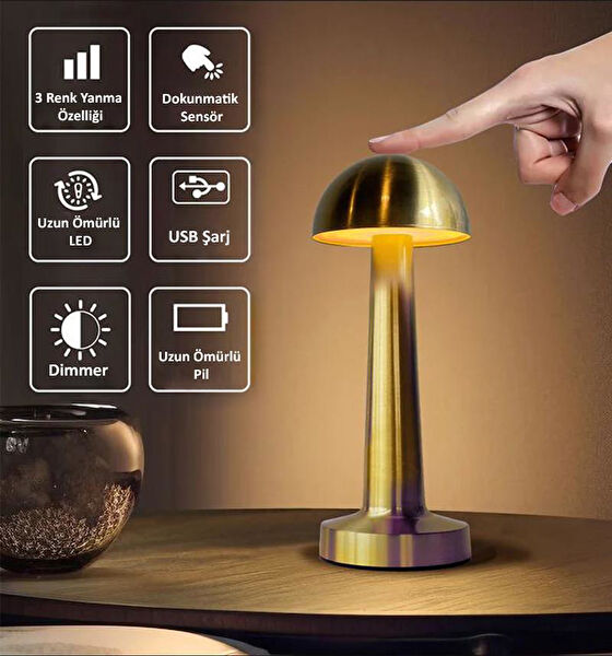 Eray Aydınlatma Masa Lambası