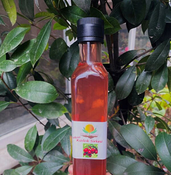 DEVREK GÜNEŞİ Çiftçi Kadın Ürünleri