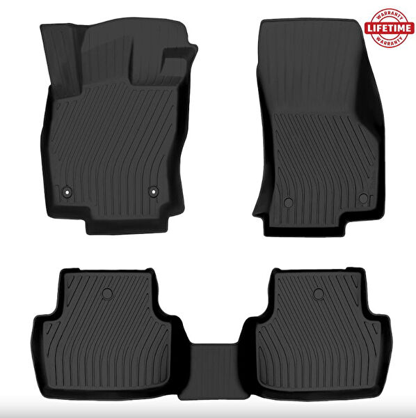 Rizline Oto Paspası