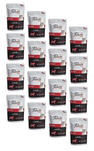 Felicia Kedi Maması