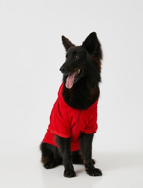 Koton Kadın Sweatshirt