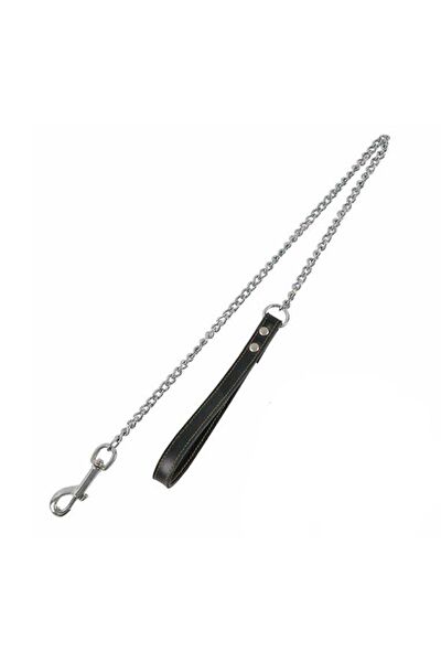 Zampa Köpek Tasmaları