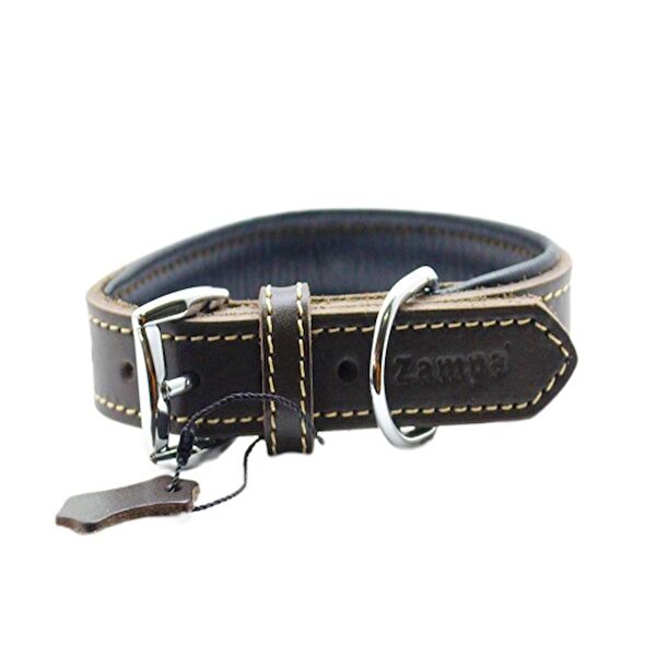 Kong Köpek Tasmaları