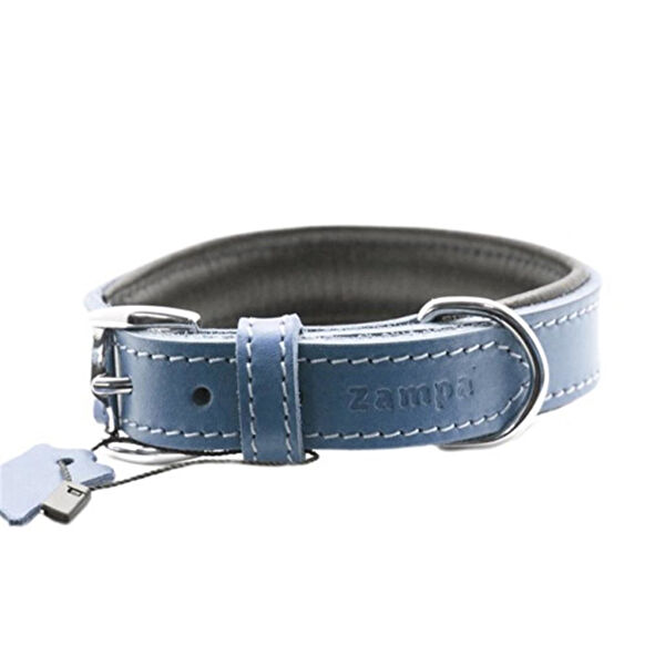 Zampa Köpek Tasmaları