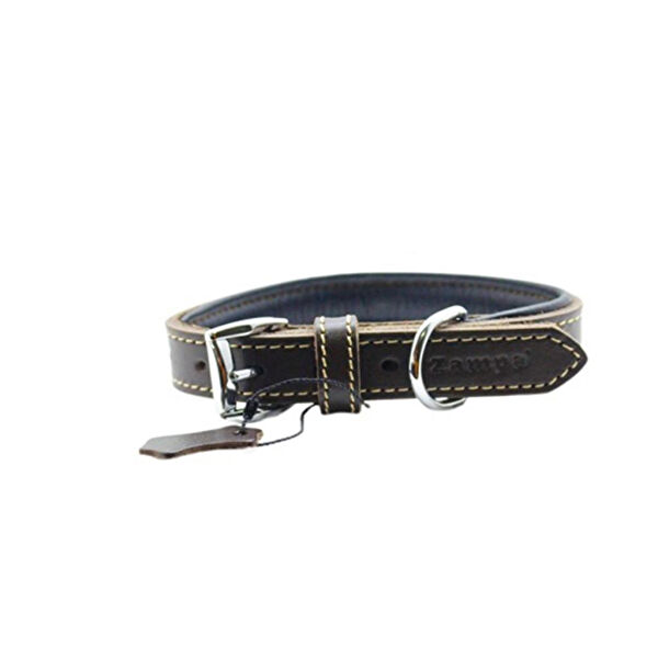 Zampa Köpek Tasmaları