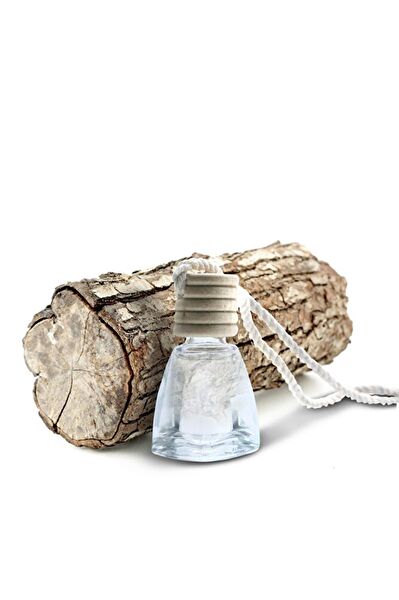 wilma secret Oto Kokuları