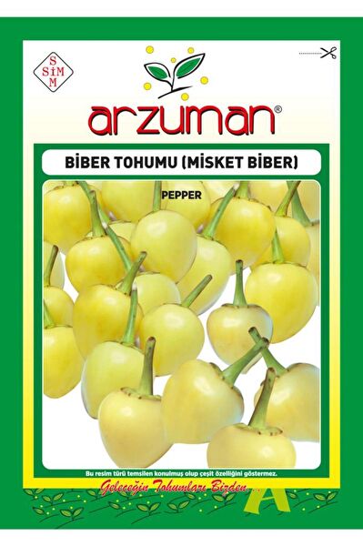 Arzuman Tohum