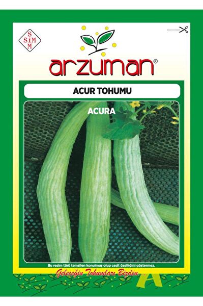 Arzuman Tohum