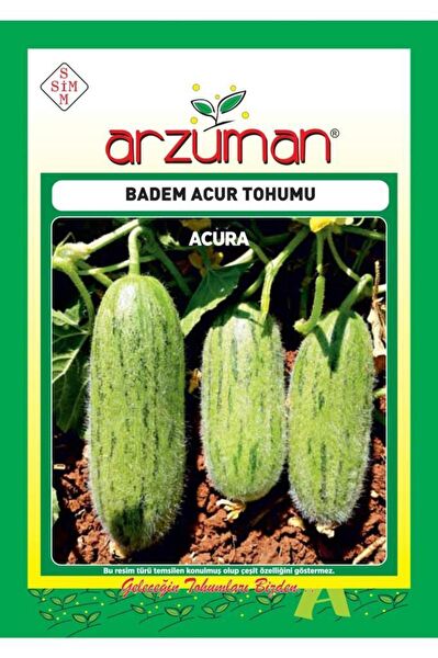 Arzuman Tohum
