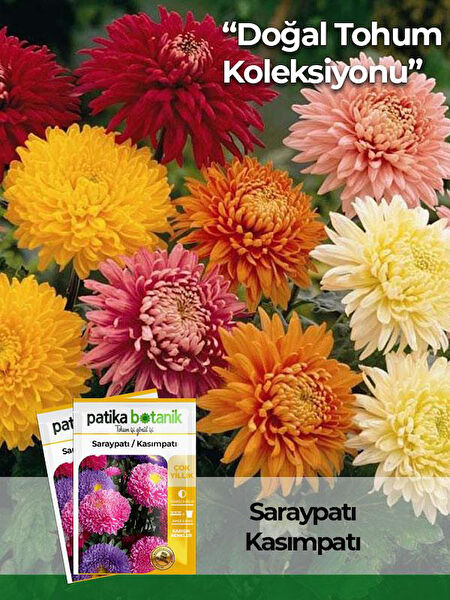 Patika Botanik Tohum